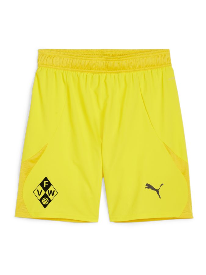PUMA teamFINAL Shorts