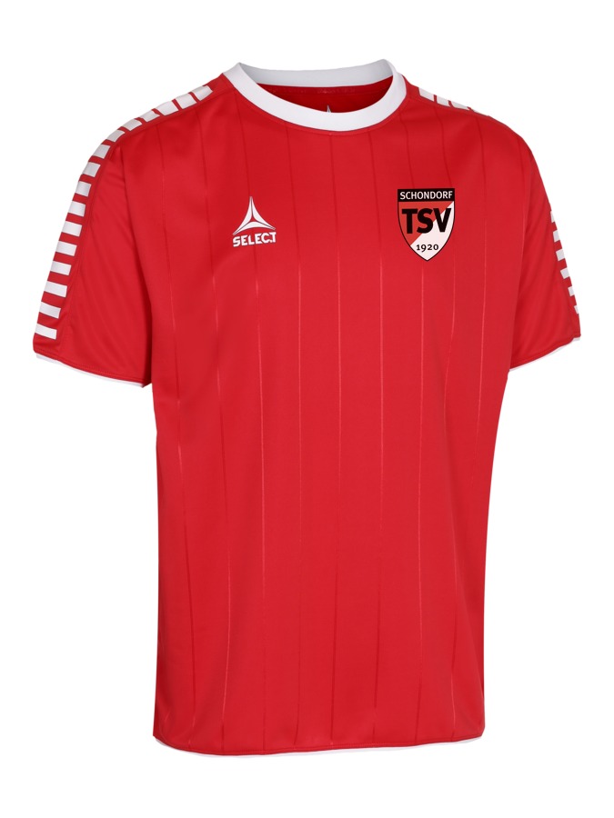 Select Argentina Trikot