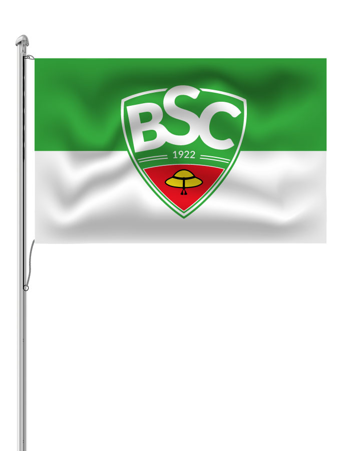 Hissfahne Logo
