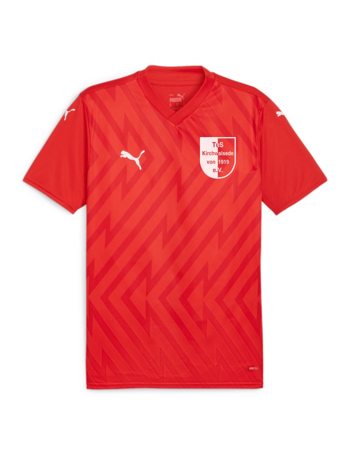 PUMA teamGLORY Trikot
