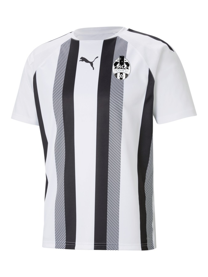 PUMA teamLIGA Striped Trikot