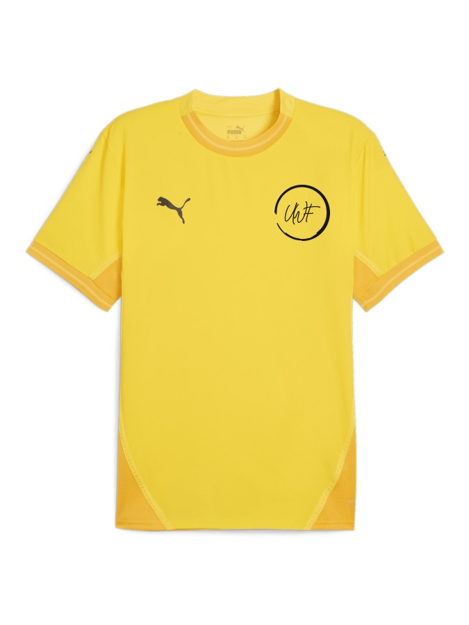 PUMA teamFINAL Trikot