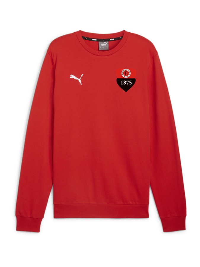 PUMA teamGOAL Casuals Crew Neck Sweatshirt