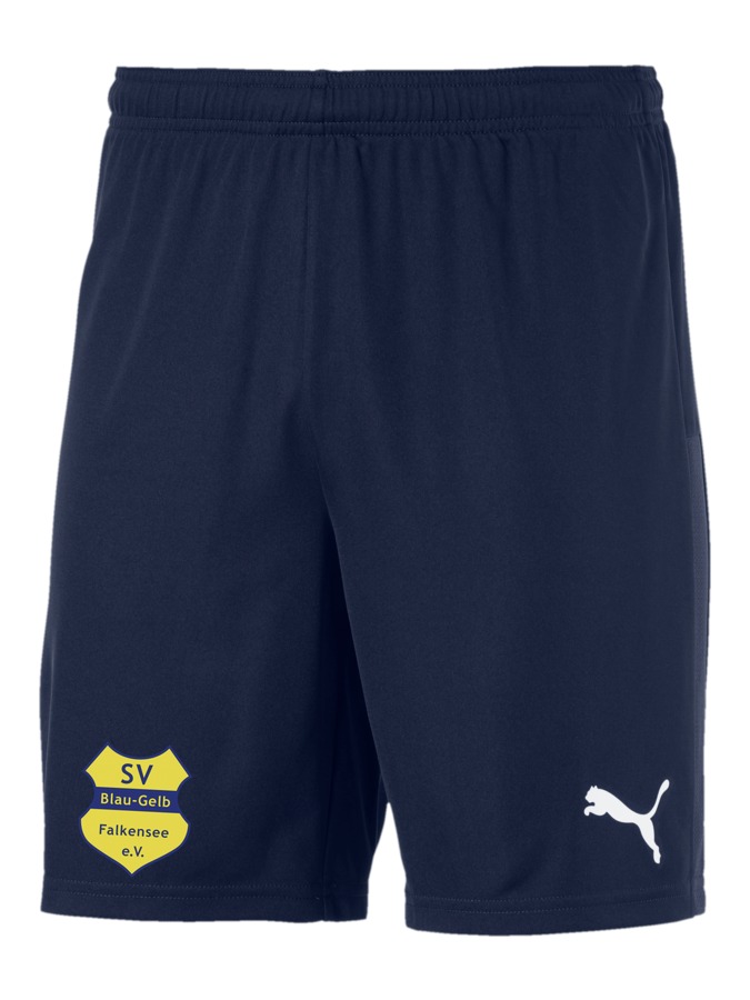 PUMA teamGOAL 23 Knit Shorts