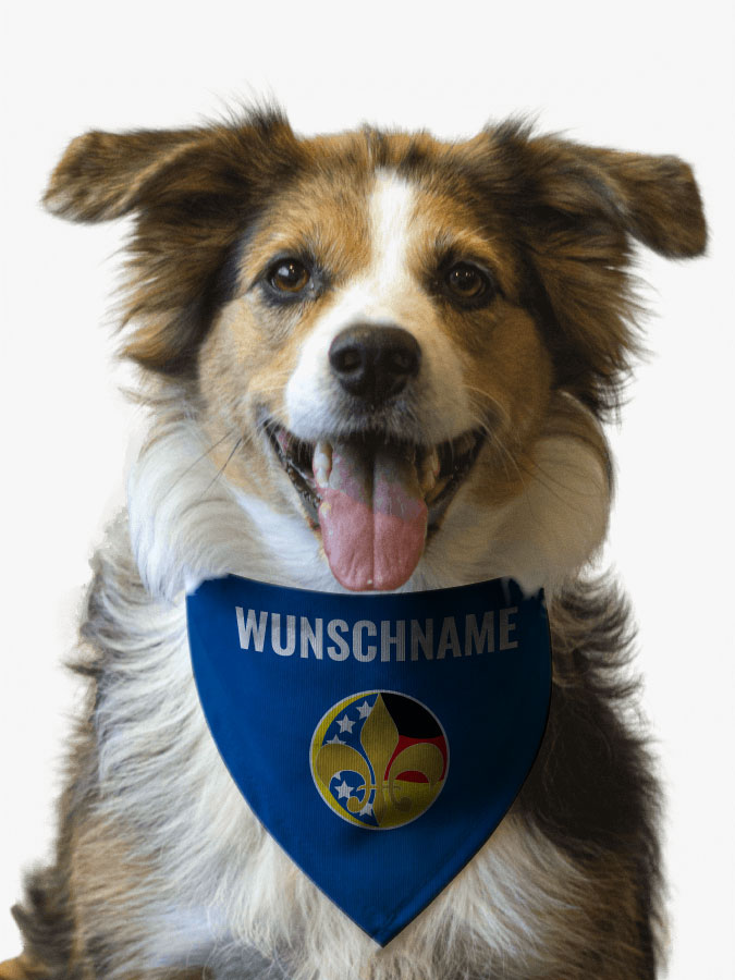 Hundehalstuch