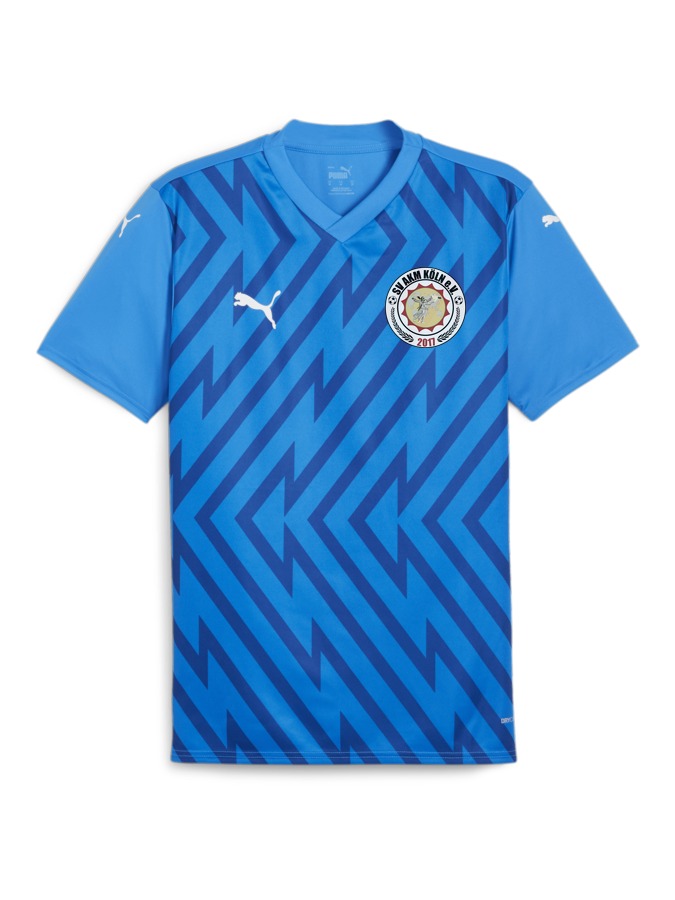 PUMA teamGLORY Trikot