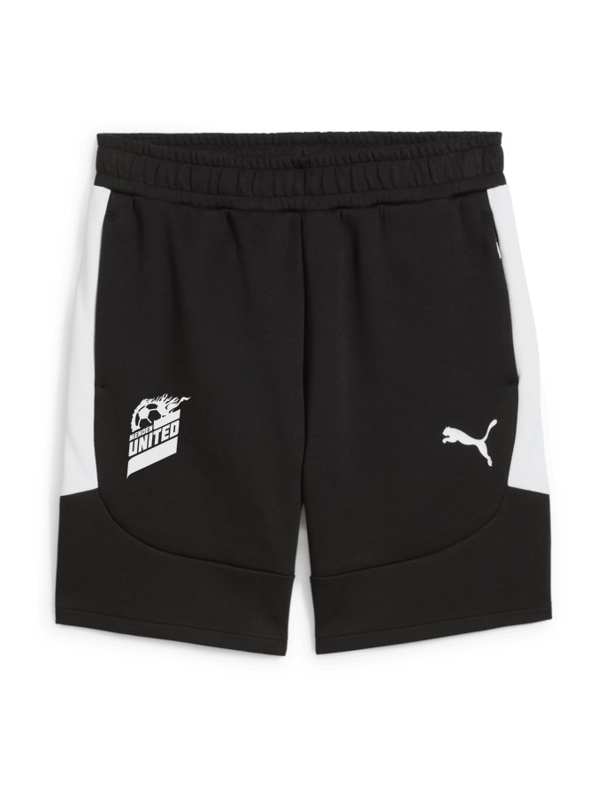 PUMA teamEVOSTRIPE Shorts