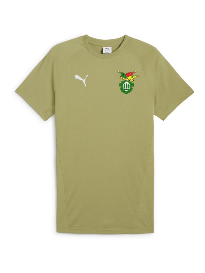 PUMA teamEVOSTRIPE T-Shirt