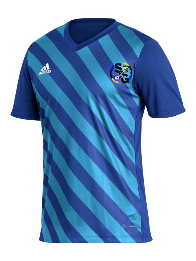 adidas Entrada 22 GFX Trikot