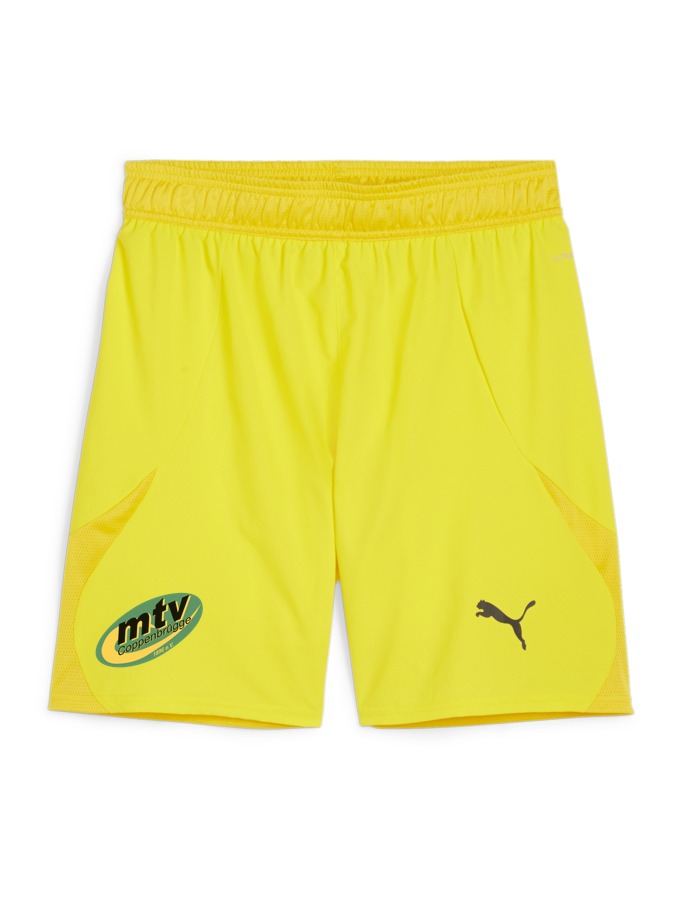 PUMA teamFINAL Shorts