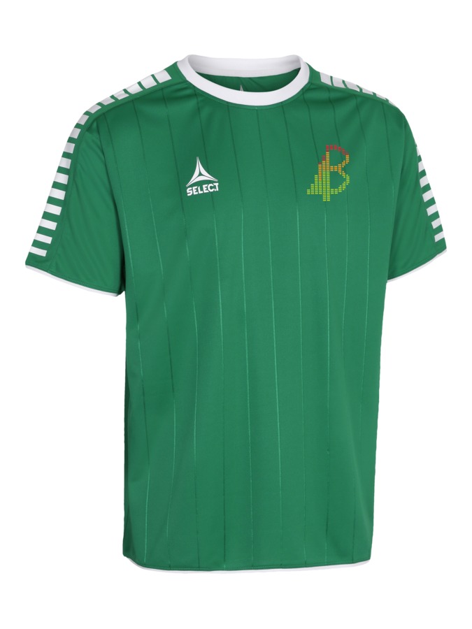 Select Argentina Trikot