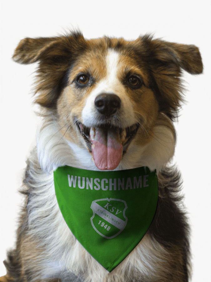 Hundehalstuch