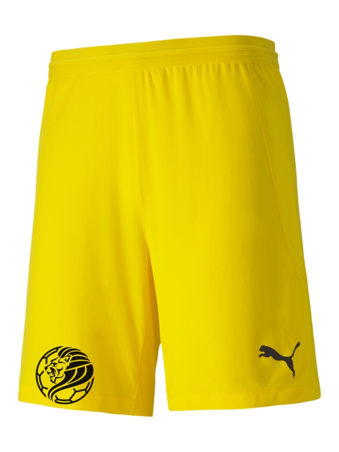 PUMA teamFINAL 21 Knit Shorts