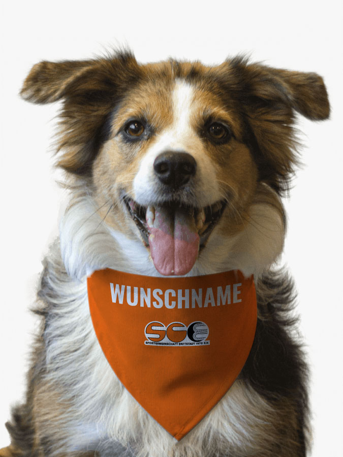Hundehalstuch