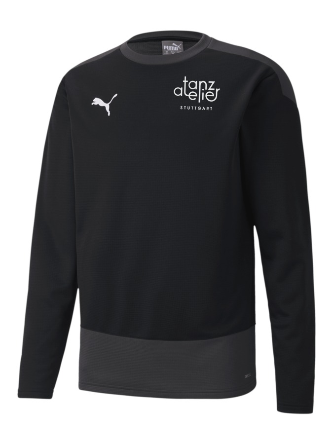 PUMA teamGOAL 23 Training Sweatshirt