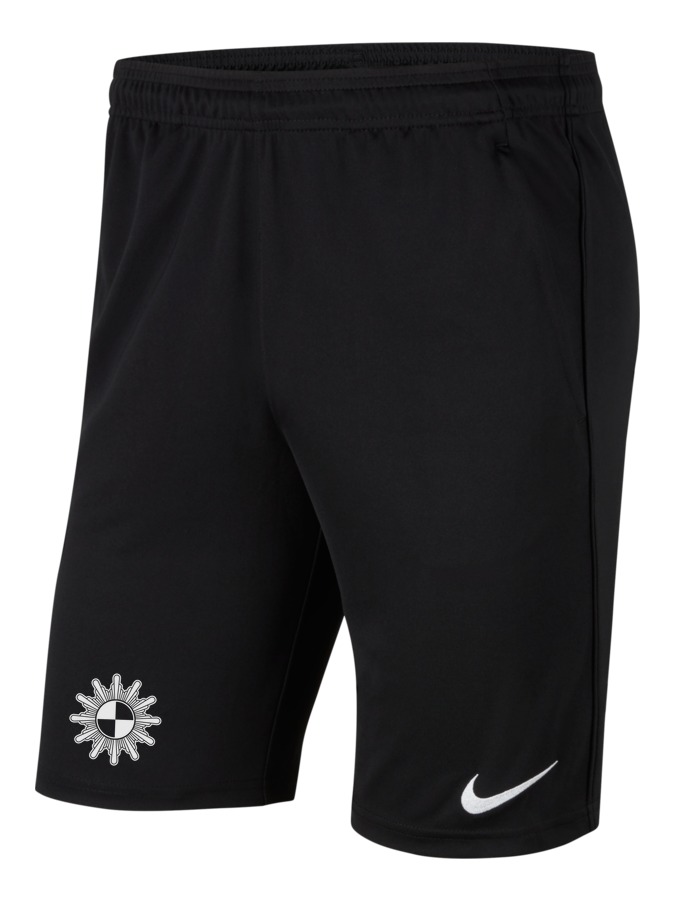 Nike Park 20 Knit Shorts