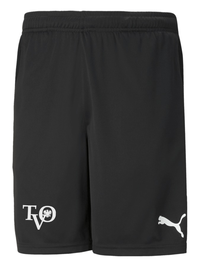 PUMA teamRISE Training Shorts