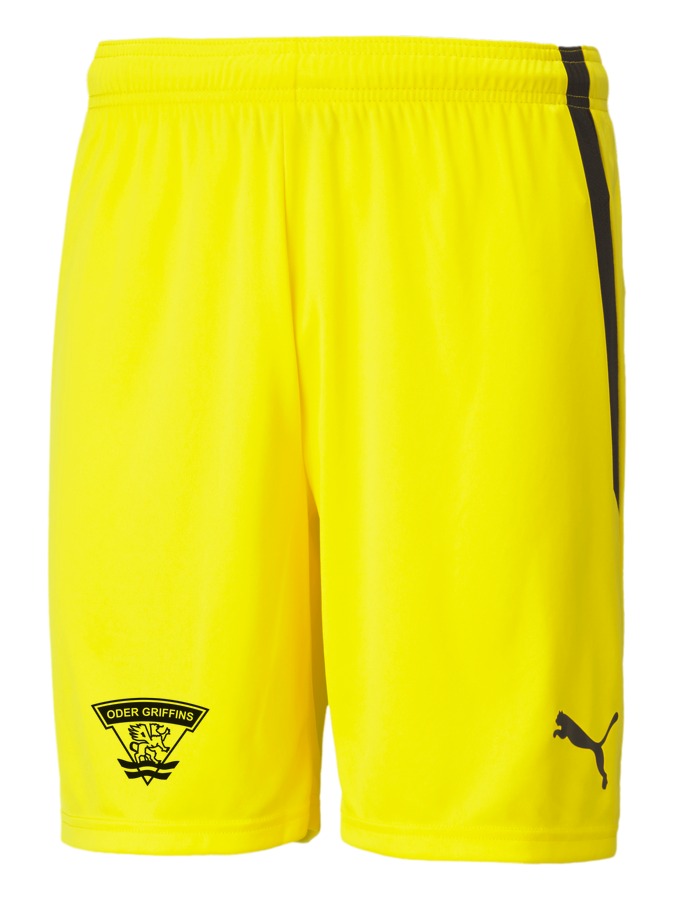 PUMA teamLIGA Shorts