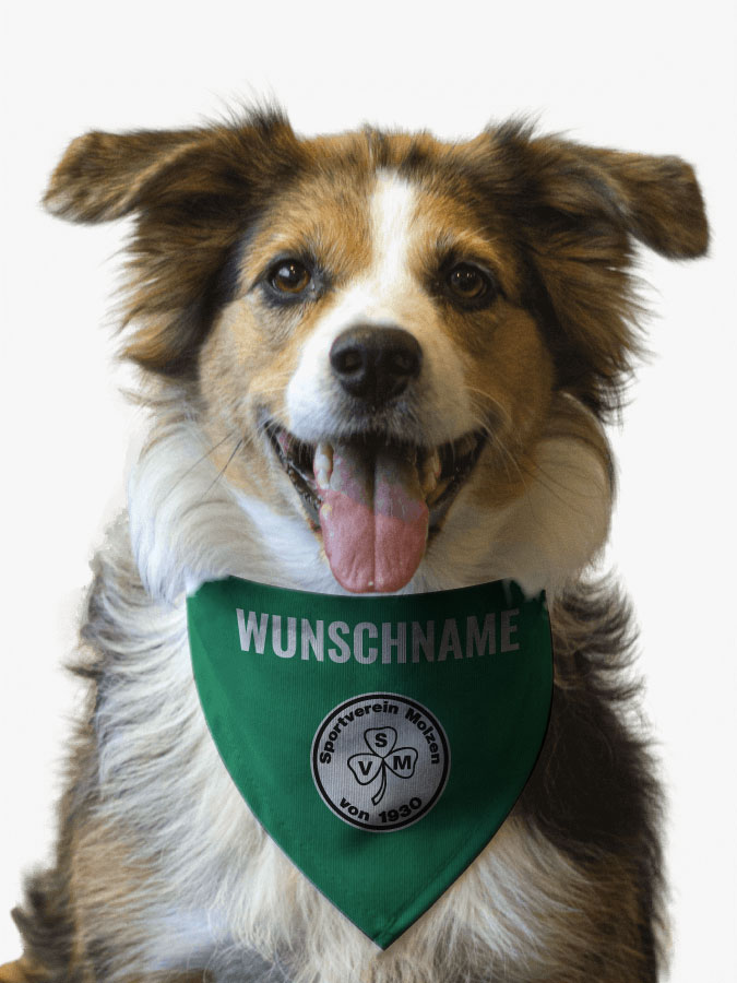 Hundehalstuch