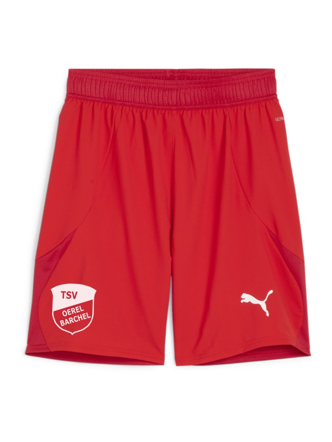 PUMA teamFINAL Shorts
