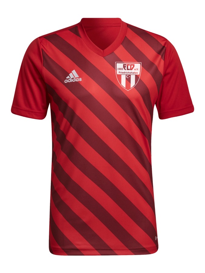 adidas Entrada 22 GFX Trikot