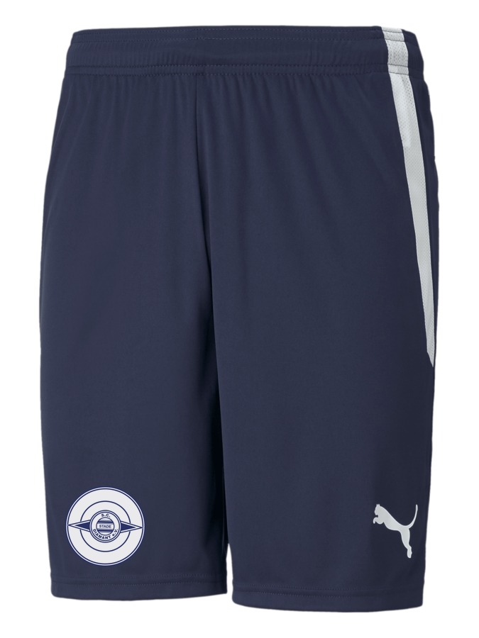 PUMA teamLIGA Shorts