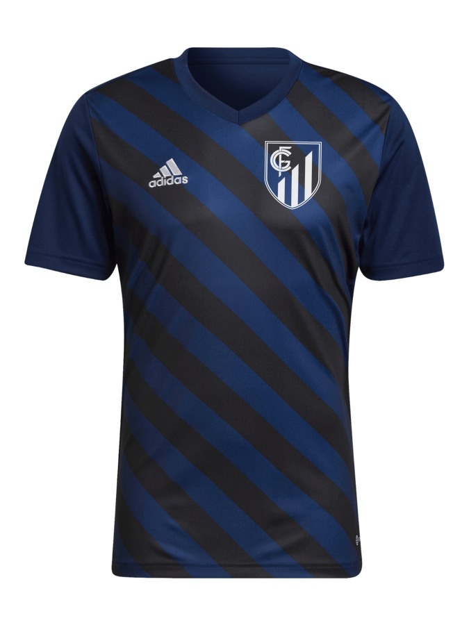 adidas Entrada 22 GFX Trikot