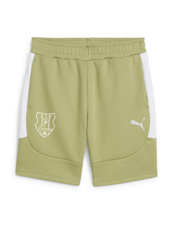 PUMA teamEVOSTRIPE Shorts