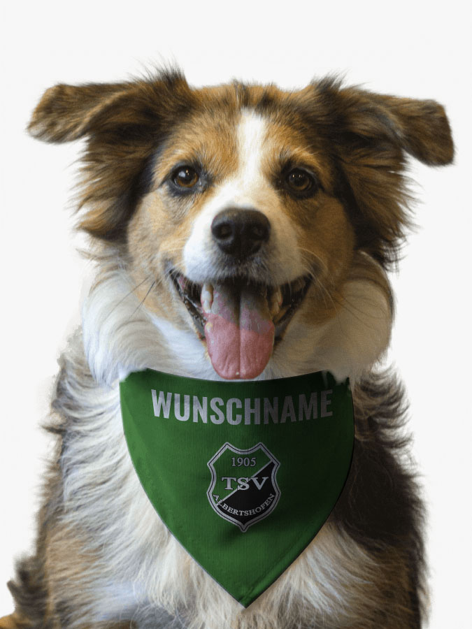 Hundehalstuch