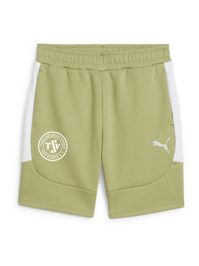 PUMA teamEVOSTRIPE Shorts