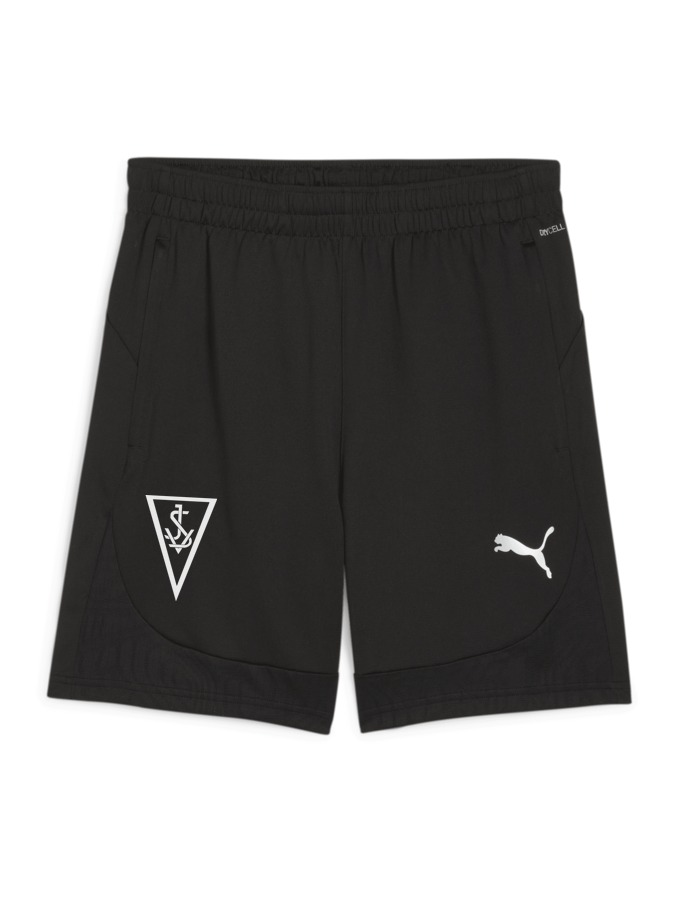 PUMA teamFINAL Training Shorts