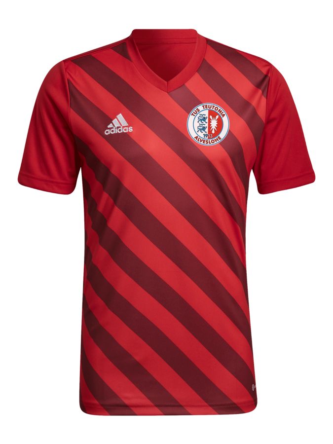 adidas Entrada 22 GFX Trikot