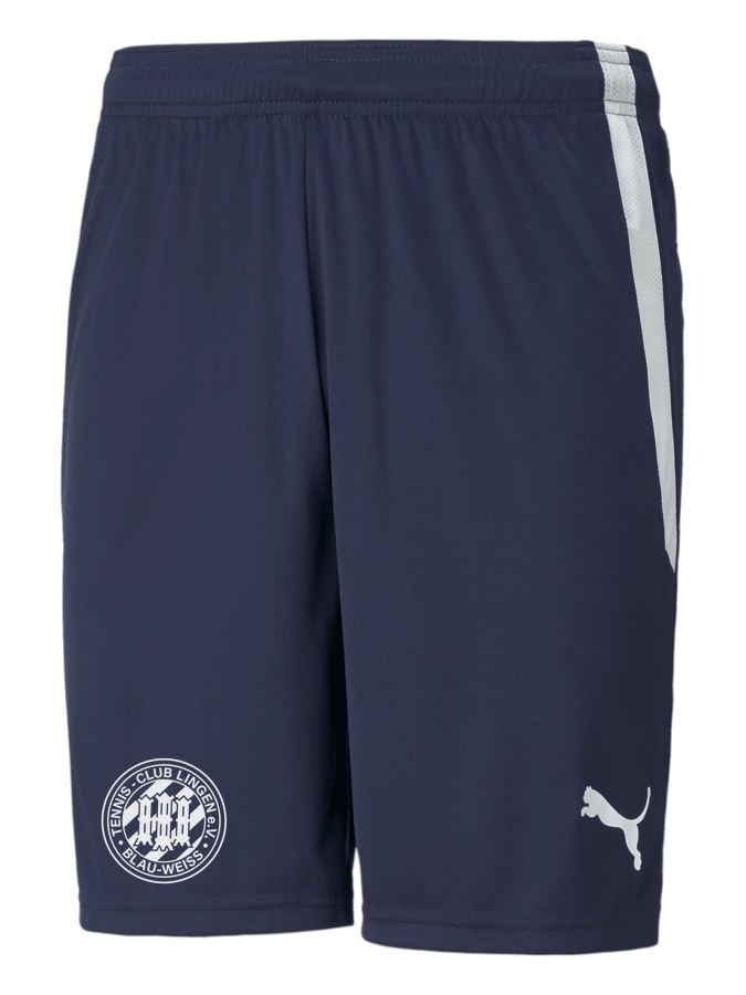 PUMA teamLIGA Shorts