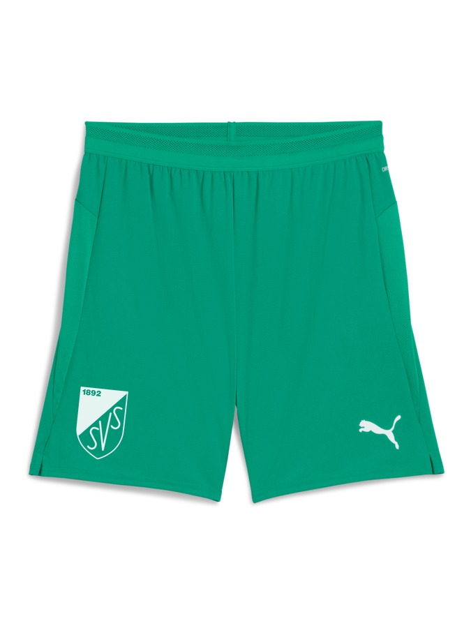 PUMA teamCUP Shorts