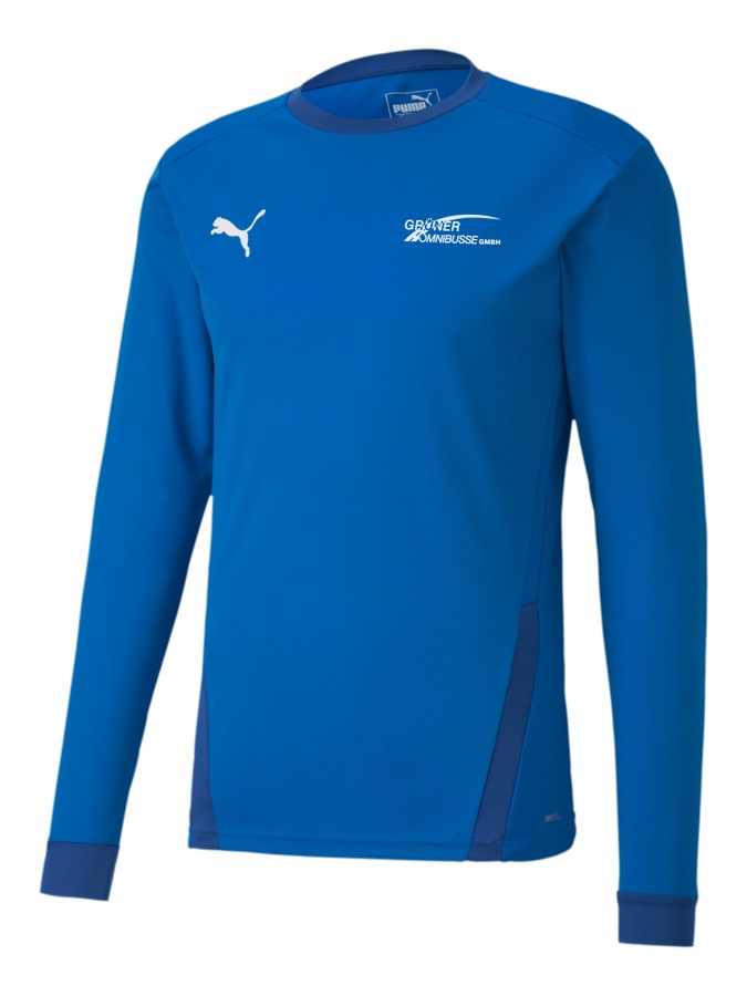 PUMA teamGOAL 23 Longsleeve