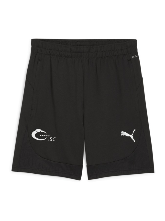 PUMA teamFINAL Training Shorts