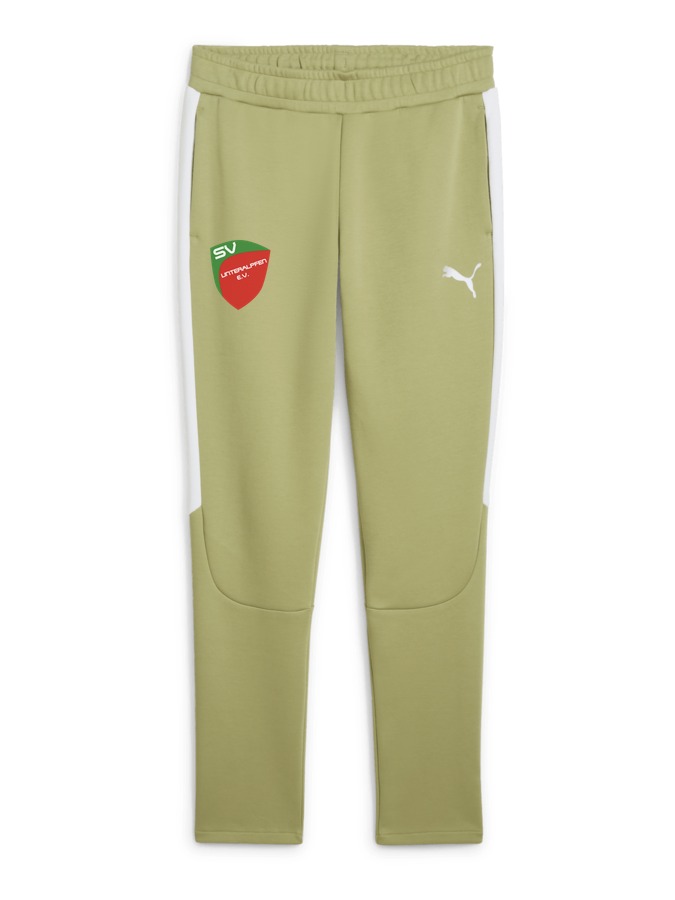 PUMA teamEVOSTRIPE Hose