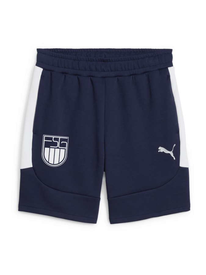 PUMA teamEVOSTRIPE Shorts