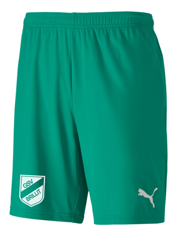 PUMA teamGOAL 23 Knit Shorts