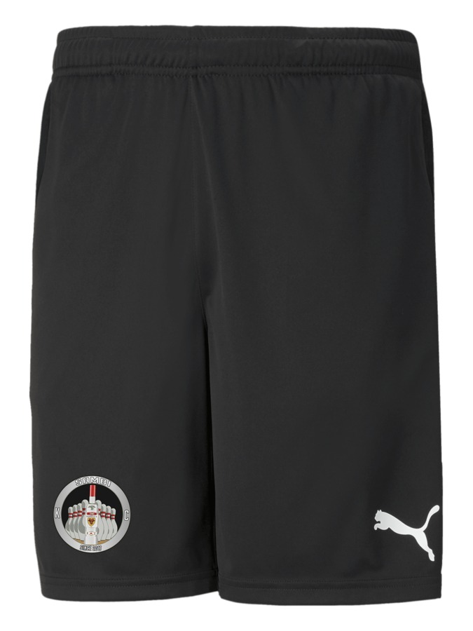 PUMA teamRISE Training Shorts