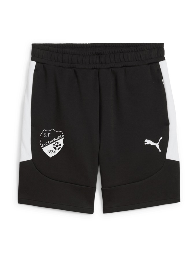 PUMA teamEVOSTRIPE Shorts