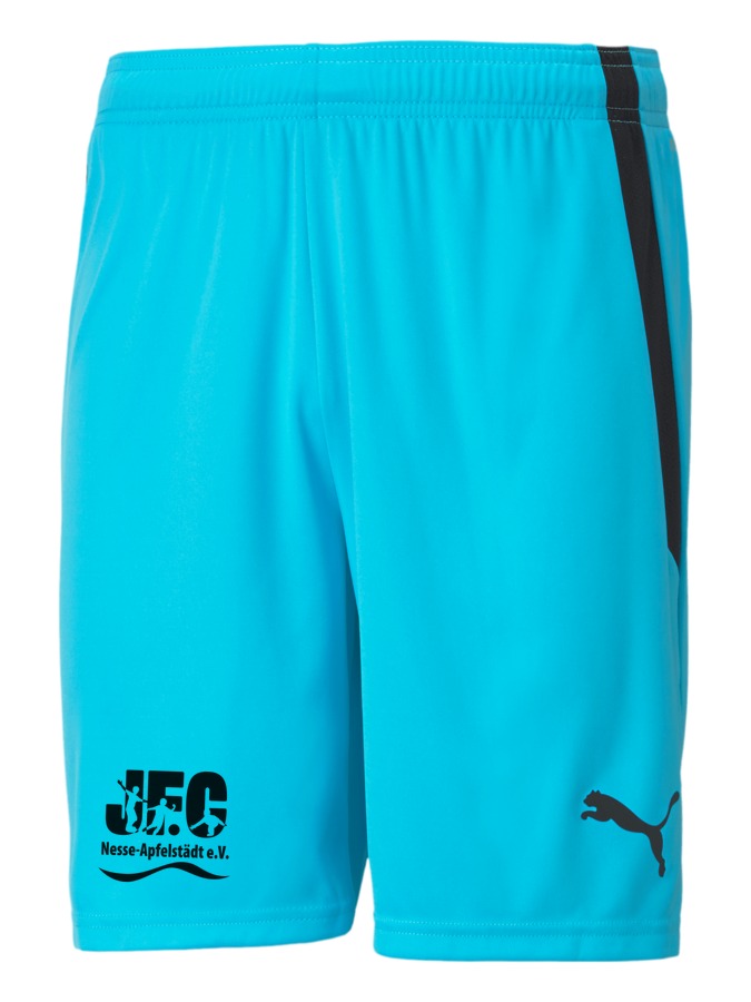 PUMA teamLIGA Shorts