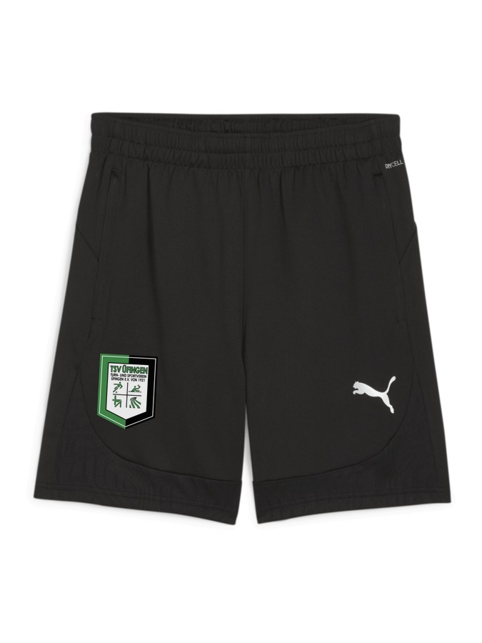 PUMA teamFINAL Training Shorts