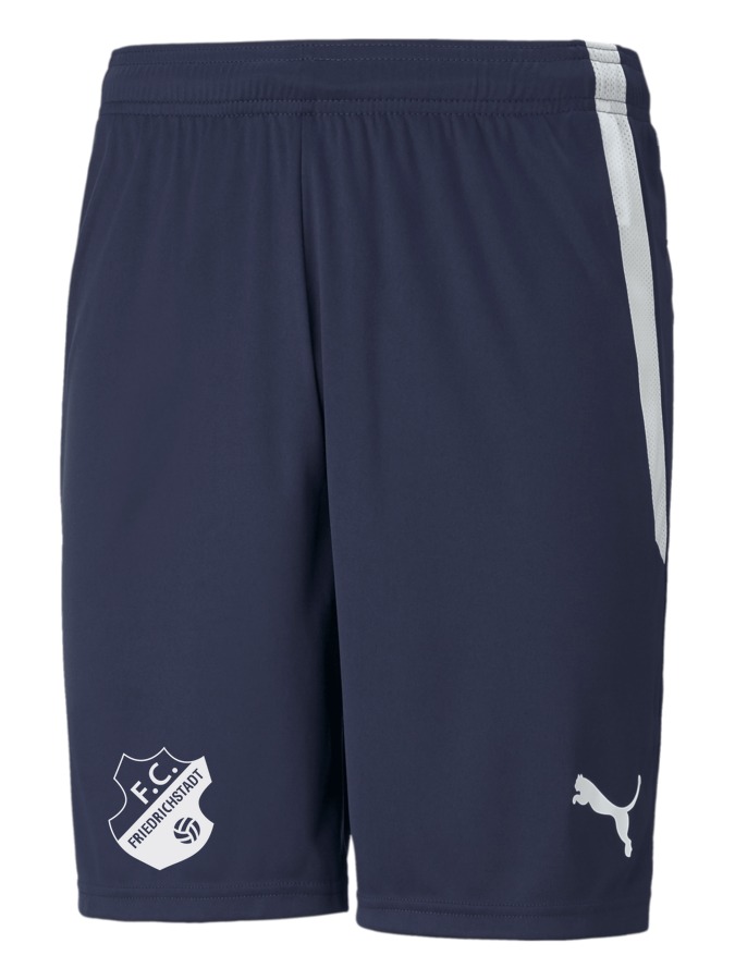 PUMA teamLIGA Shorts