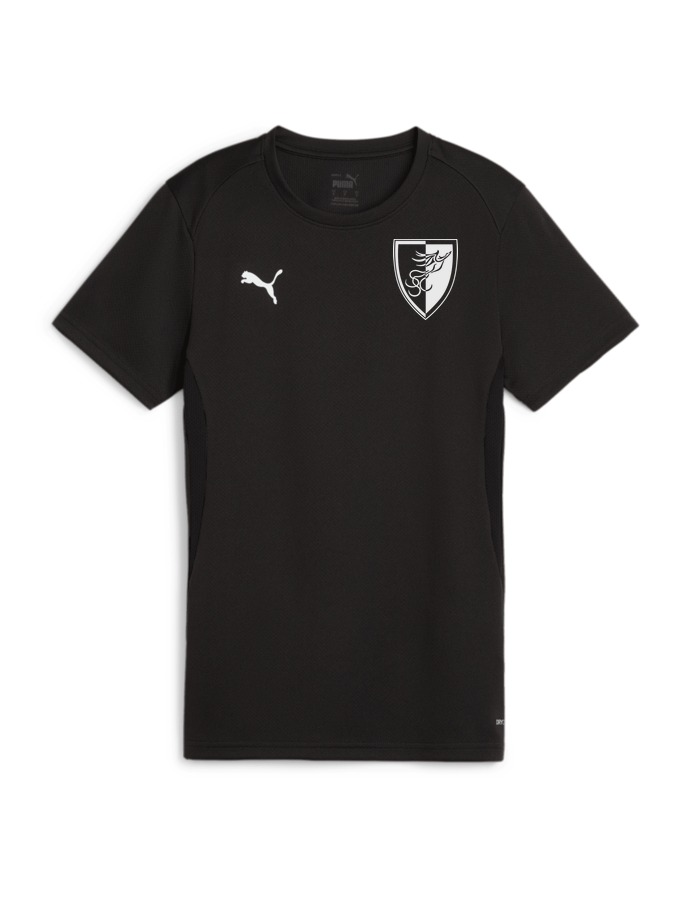 PUMA teamGOAL Trikot Damen