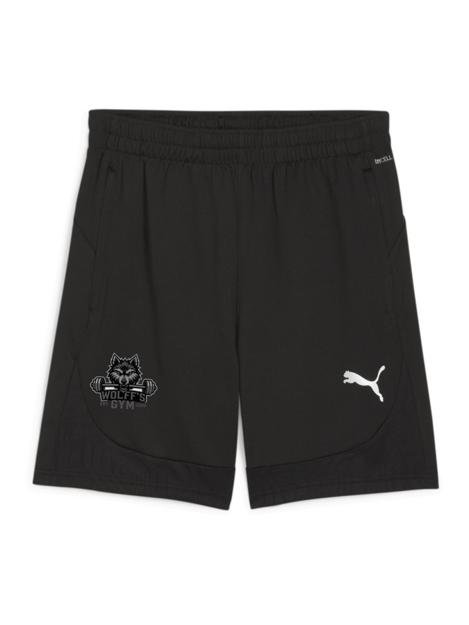 PUMA teamFINAL Training Shorts