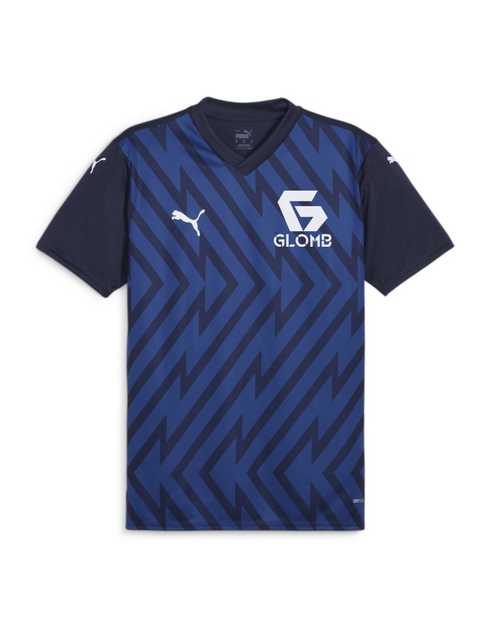 PUMA teamGLORY Trikot