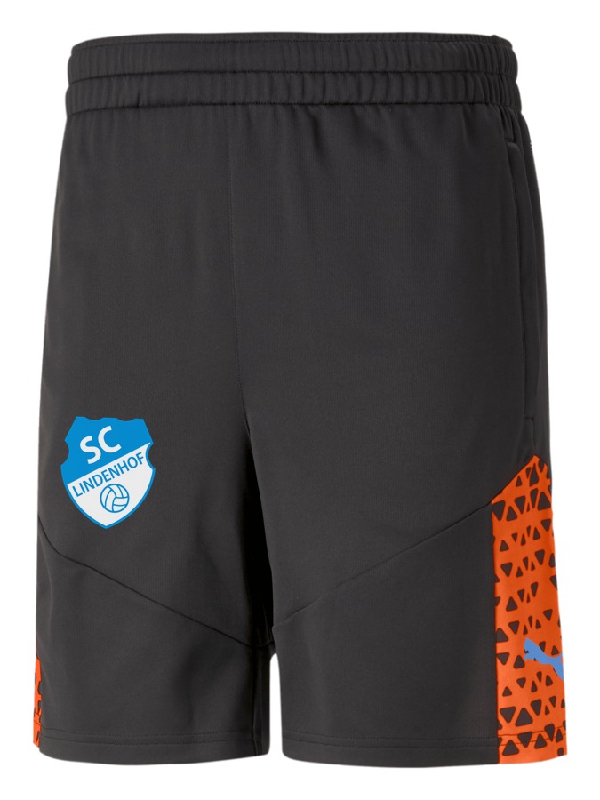 PUMA individualCUP Training Shorts