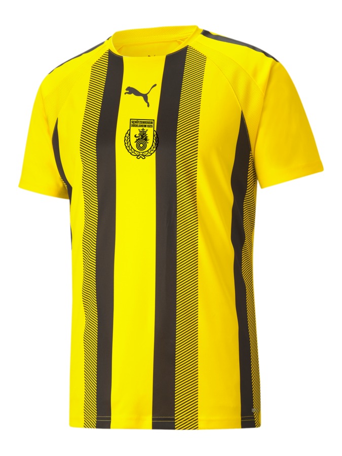 PUMA teamLIGA Striped Trikot