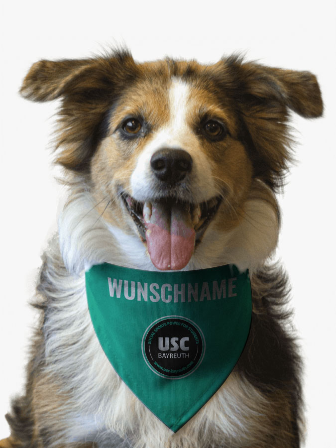 Hundehalstuch